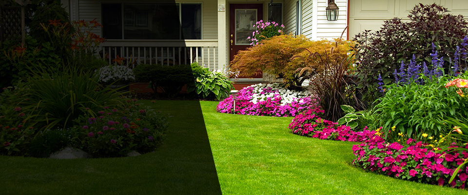 Alanson Landscapers