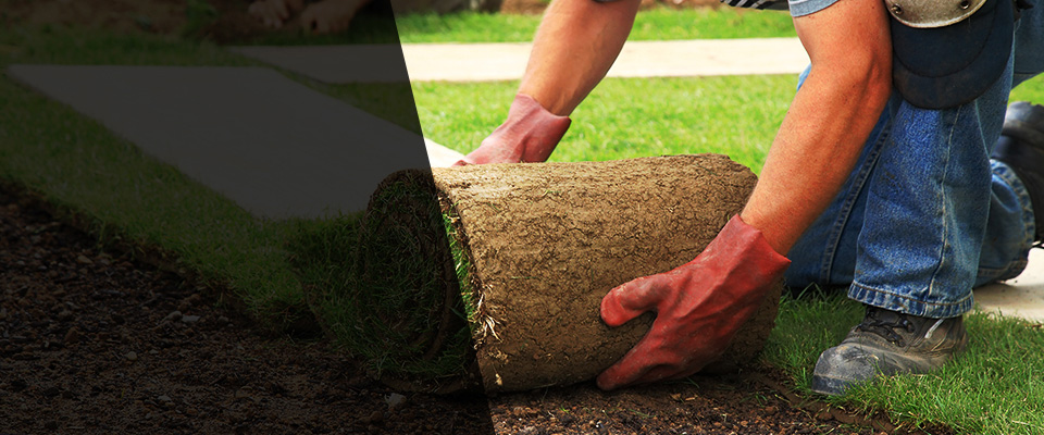 Alanson Landscapers